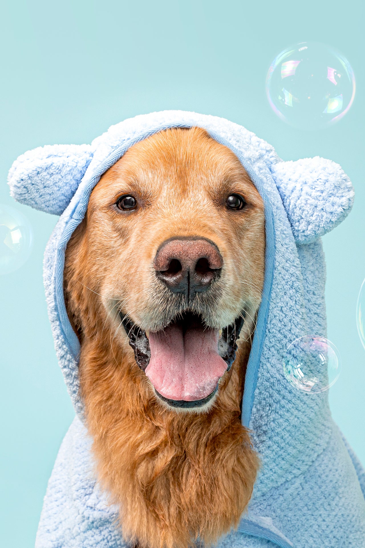 Fur Kids Shiny Coat Shampoo + Conditioner | Coconut + Mango | 16 oz - Image 6