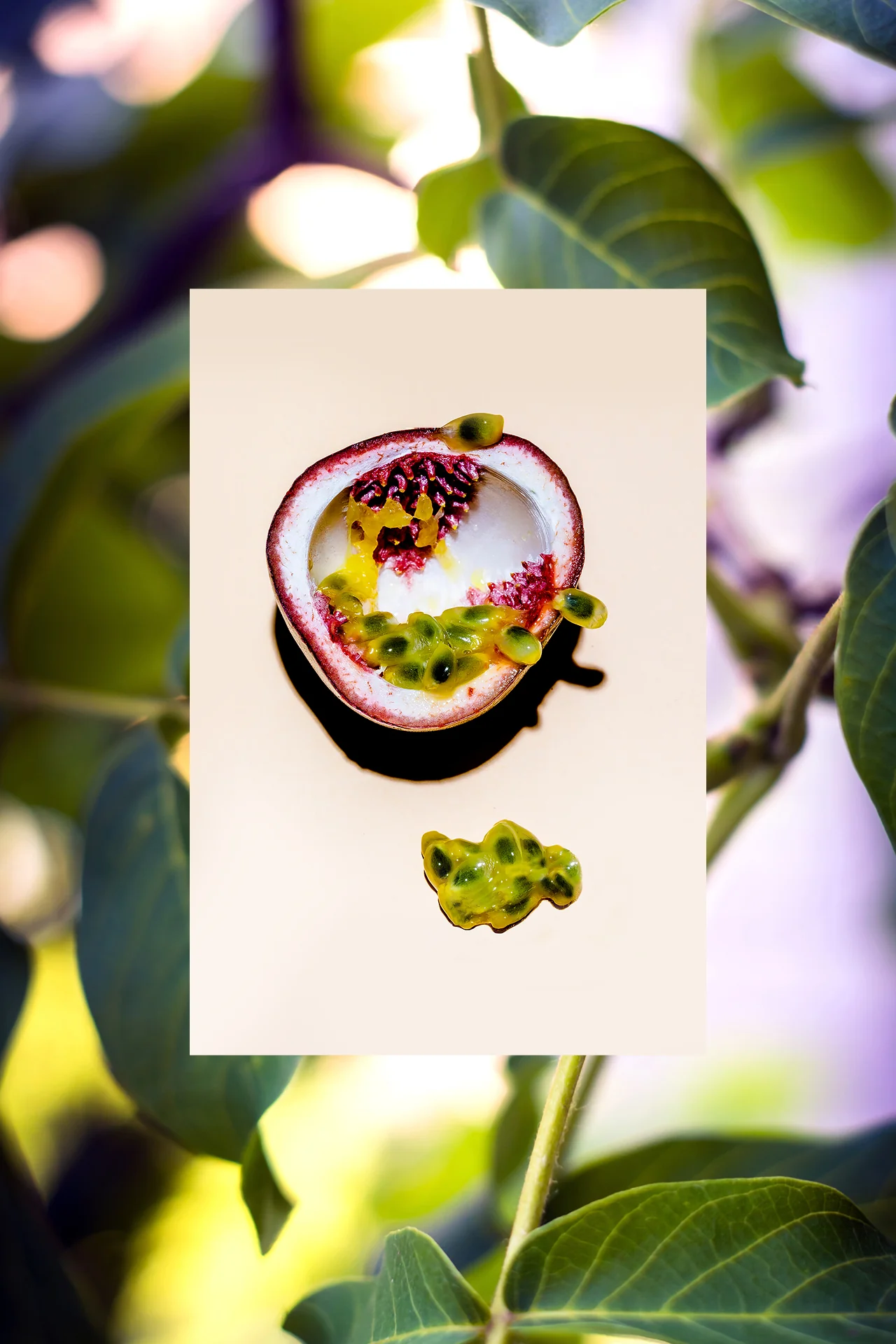 The Grow Pro Conditioner | Passion Fruit + Marula | 18 oz - Image 4