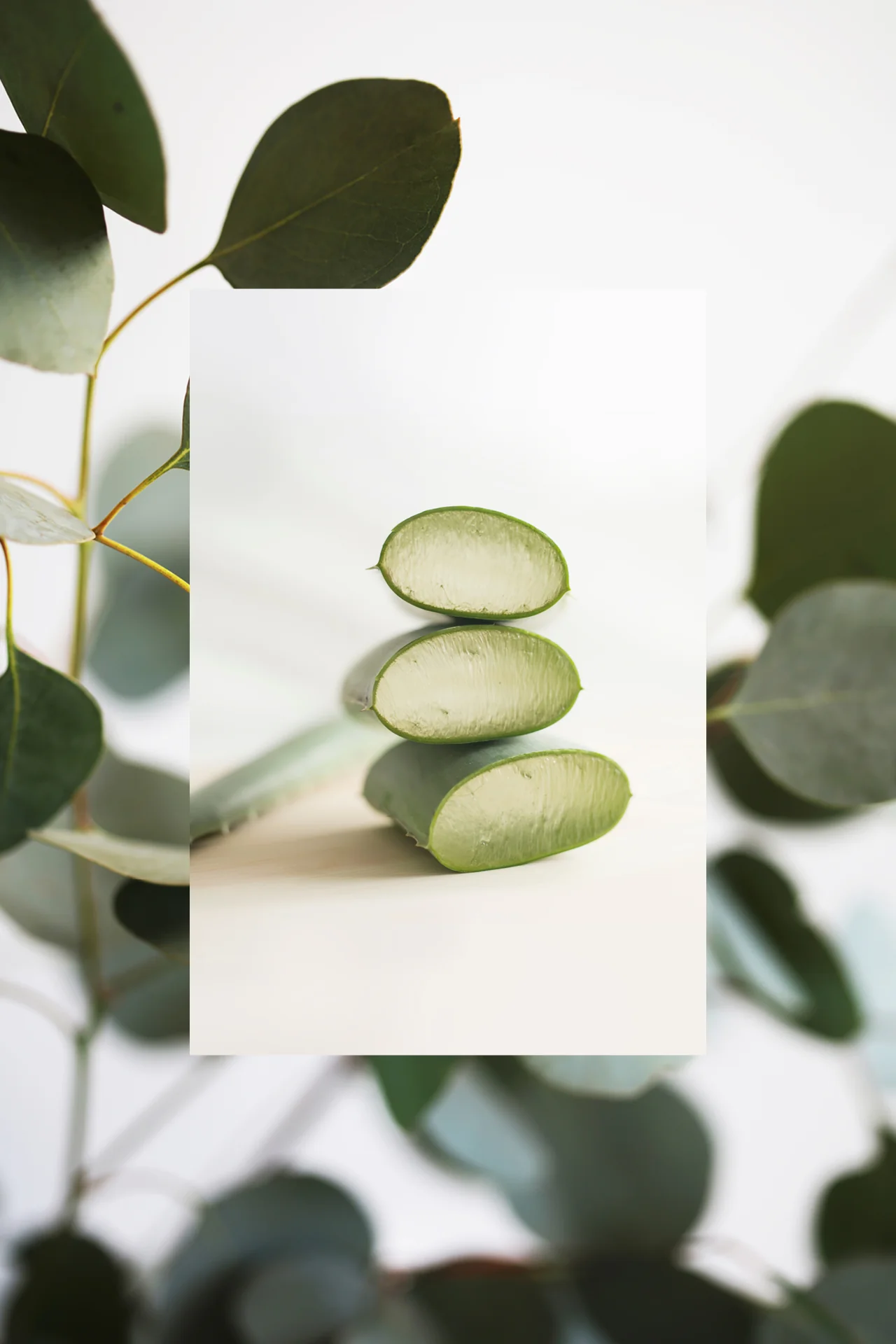 The Scalp Scrub Micro Polish | Eucalyptus + Aloe | 5 oz - Image 5