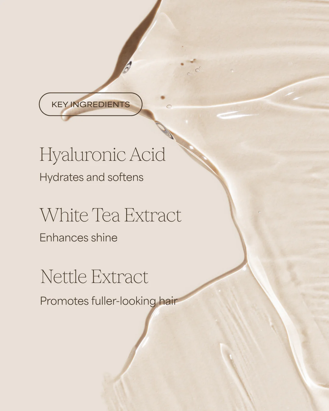 The Volume Revive Shampoo | Strawberry + White Tea | 16 fl oz - Image 3